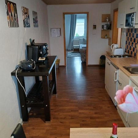 Kleine Wohnung Fuer Monteure Und Dienstreisen Цвікау Екстер'єр фото