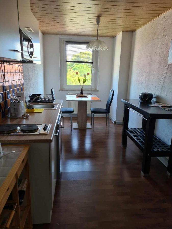 Kleine Wohnung Fuer Monteure Und Dienstreisen Цвікау Екстер'єр фото